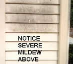 Remove Mildew 